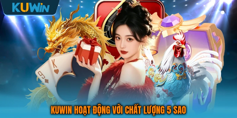 KUWIN hoạt động với chất lượng 5 sao